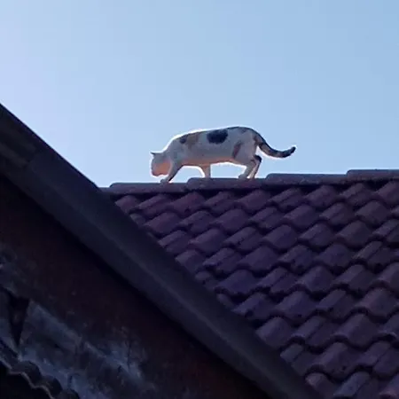 Stoermthal 1 Sonnenweg